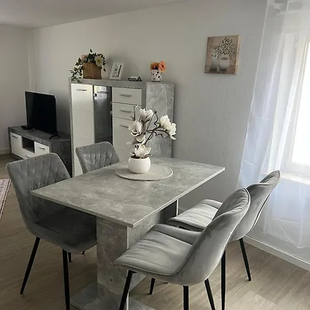 Ferienwohnung 2 In Direkter Naehe Zum Rhein Apartamento