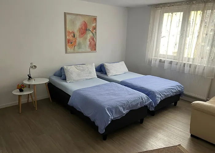 Ferienwohnung 2 In Direkter Naehe Zum Rhein Apartament *